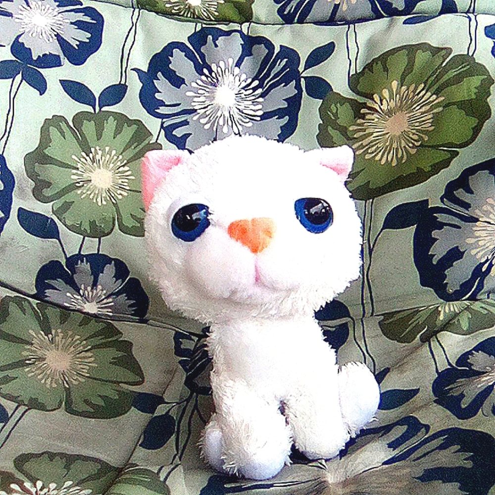 White Kitten